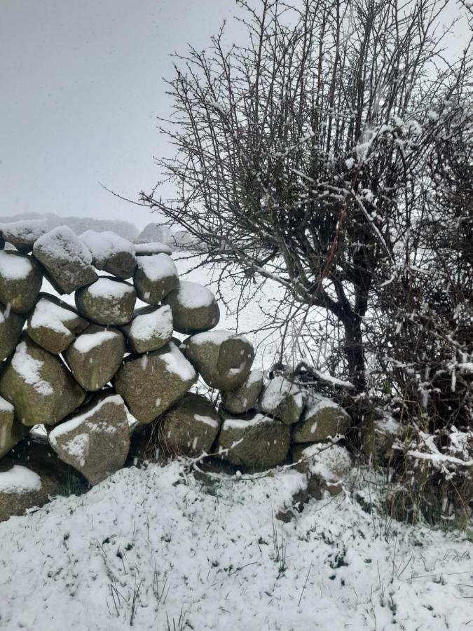 Ballykeel Farm, Mourne Mountains Ballymartin Экстерьер фото