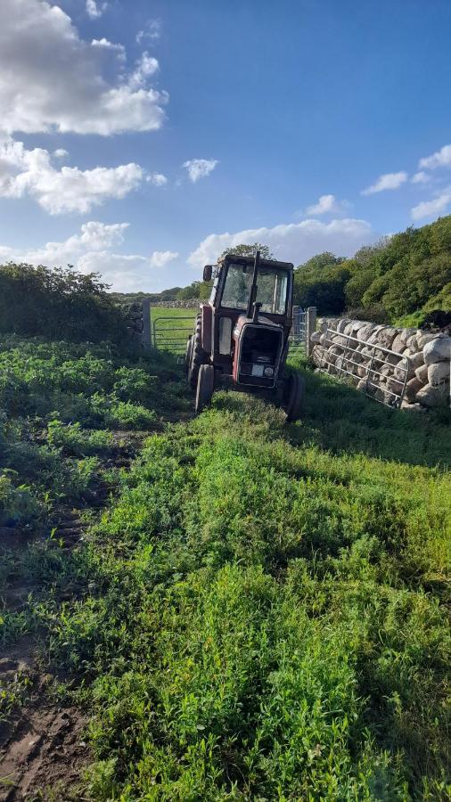 Ballykeel Farm, Mourne Mountains Ballymartin Экстерьер фото